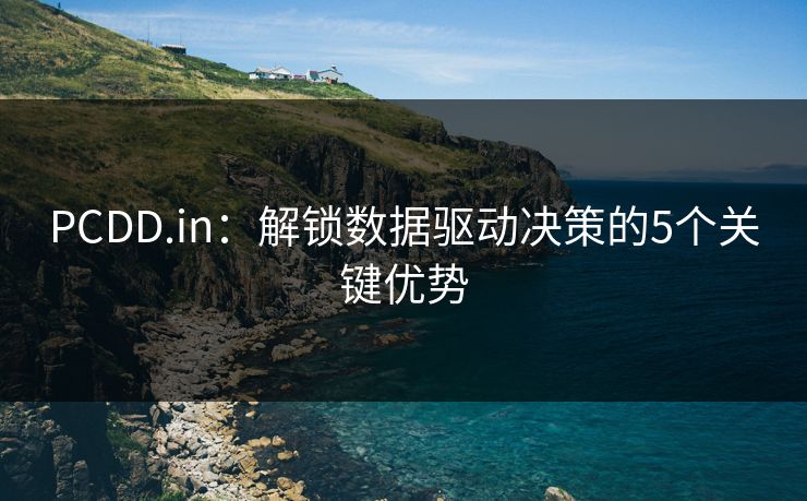 PCDD.in：解锁数据驱动决策的5个关键优势