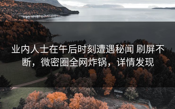 业内人士在午后时刻遭遇秘闻 刷屏不断，微密圈全网炸锅，详情发现