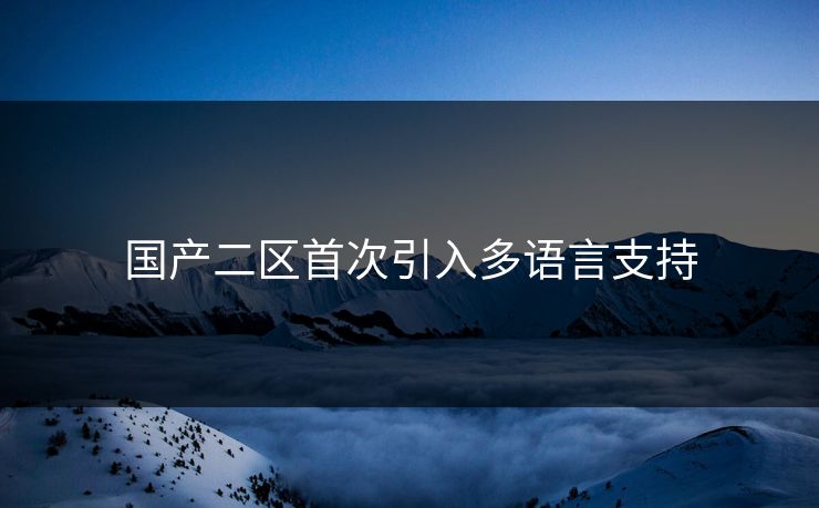 国产二区首次引入多语言支持