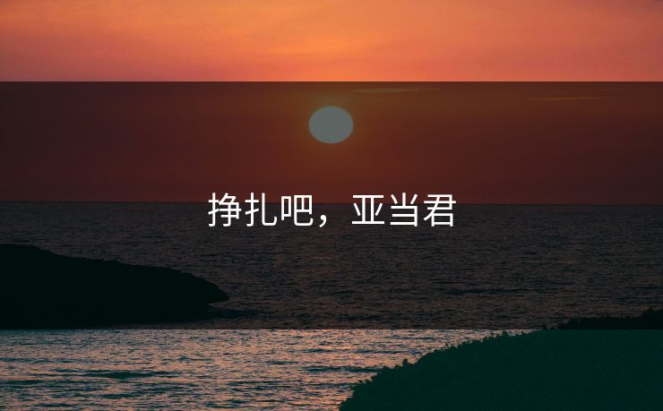 挣扎吧，亚当君