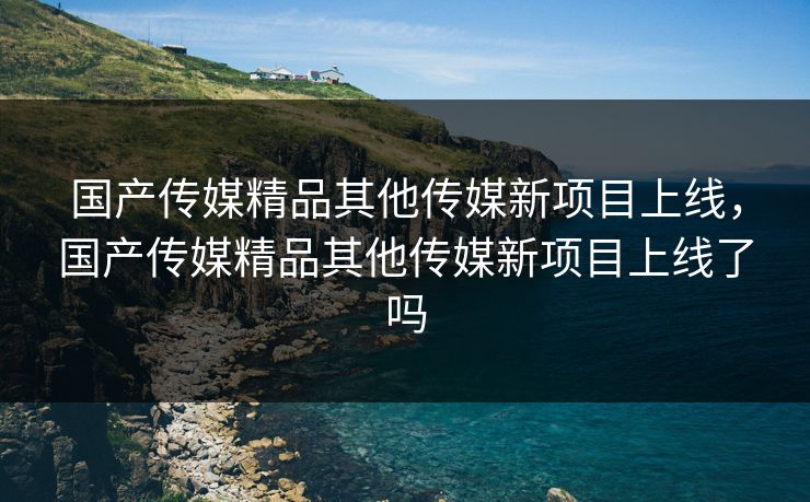 国产传媒精品其他传媒新项目上线，国产传媒精品其他传媒新项目上线了吗